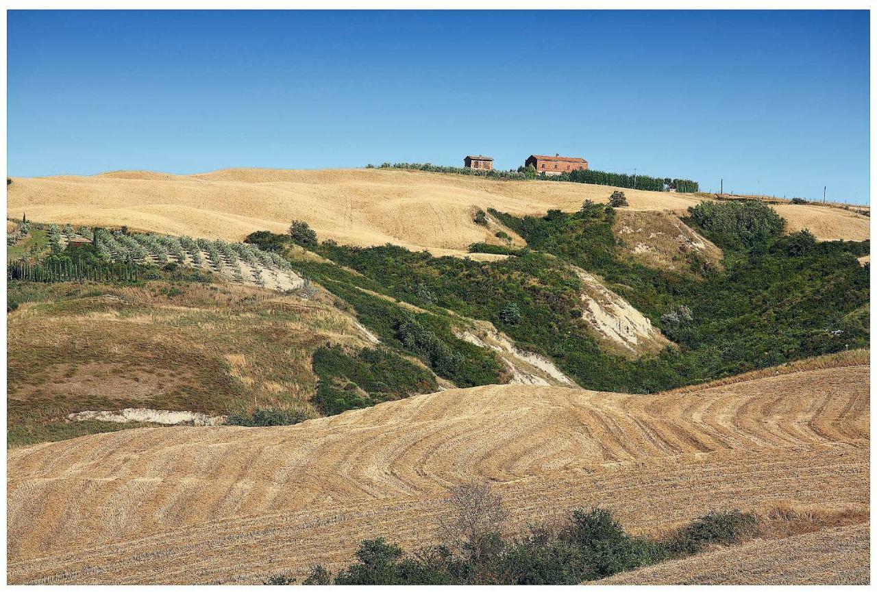 Agriturismo Podernuovo アッシャーノ エクステリア 写真